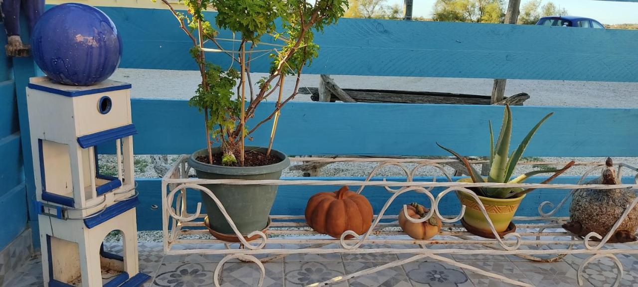 Maison Sur Presqu'ile Holiday home Port-Saint-Louis-du-Rhone